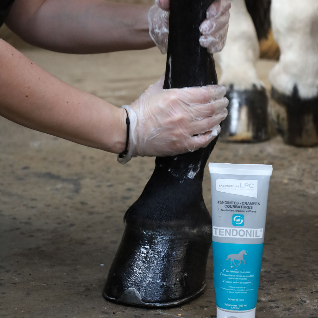 Tendonil Muscle &amp; Tendon Gel